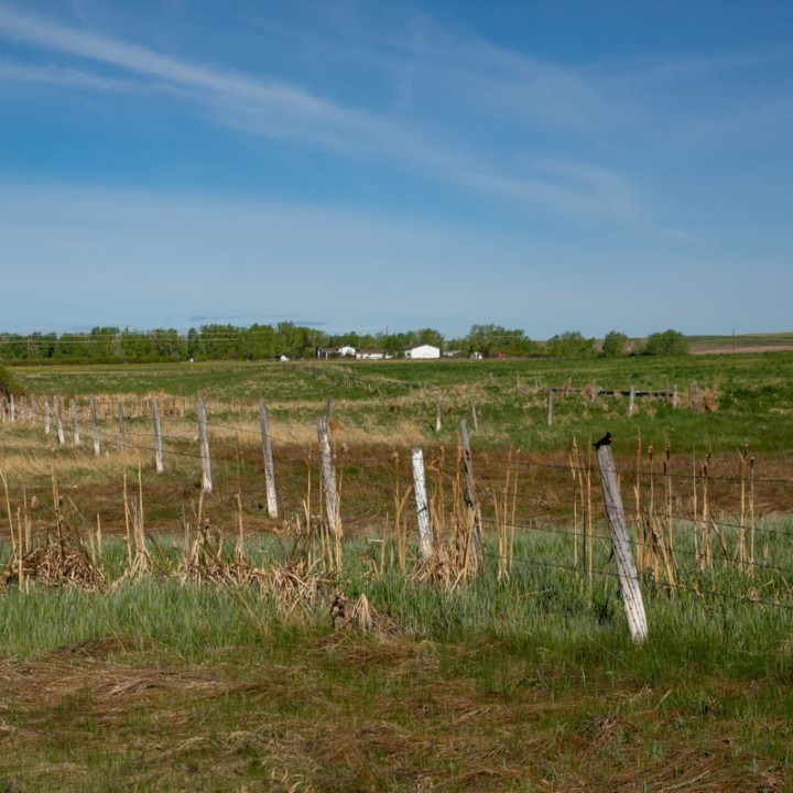 fence lining green fields of cobblestone creek, airdrie