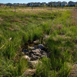 rock lined creek with houses lining the horizon in cobblestone creek, airdrie