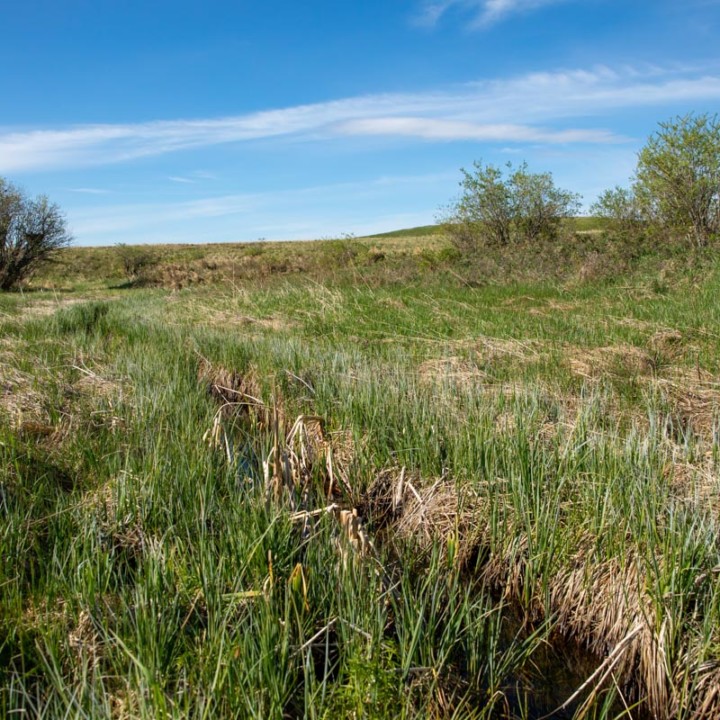 green field with small creek in cobblestone creek, airdrie