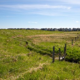 green grass fields with homes in the distance in cobblestone creek, airdrie