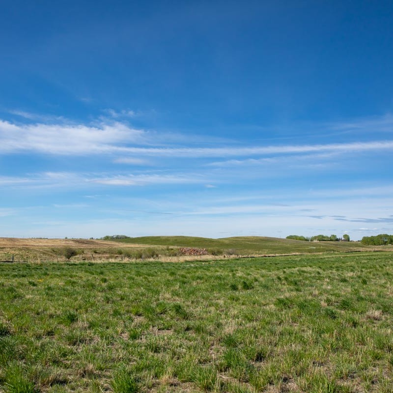 blue sky over green grass hills and fields in cobblestone creek, airdrie
