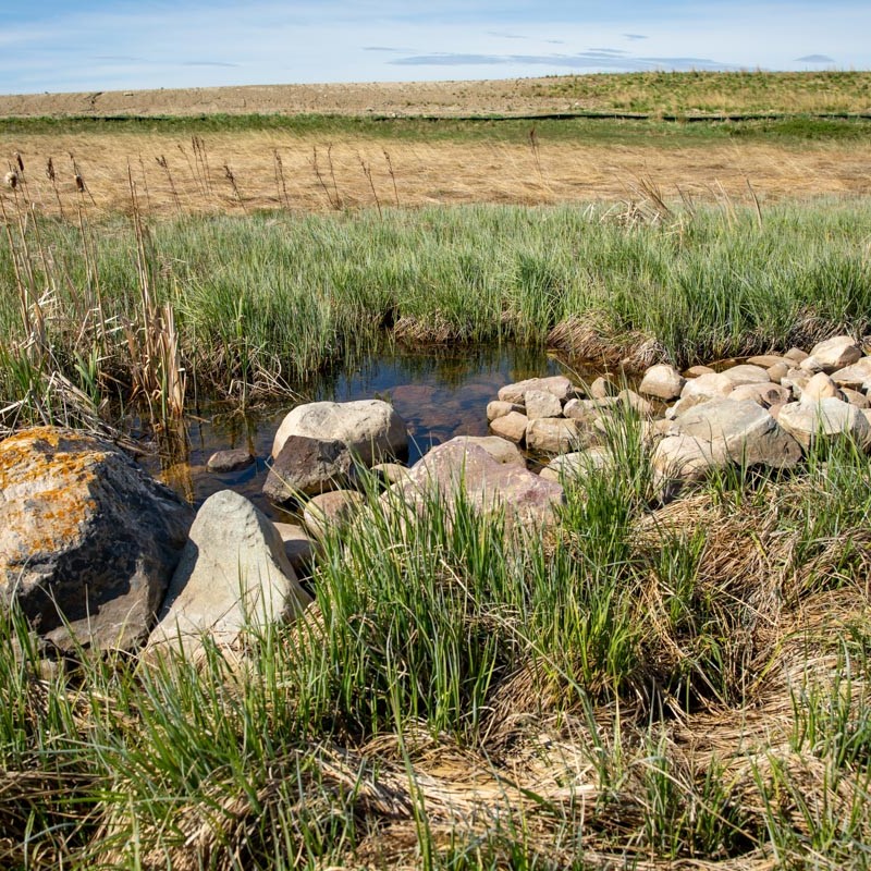 field with rocks lining the creek in cobblestone creek, airdrie